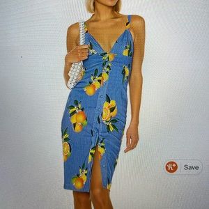 NWT Privacy Please Lantana Dress